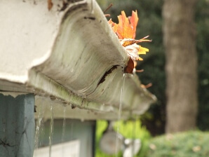South Carolina clogged gutters