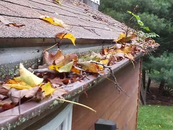 The Midlands clogged gutters