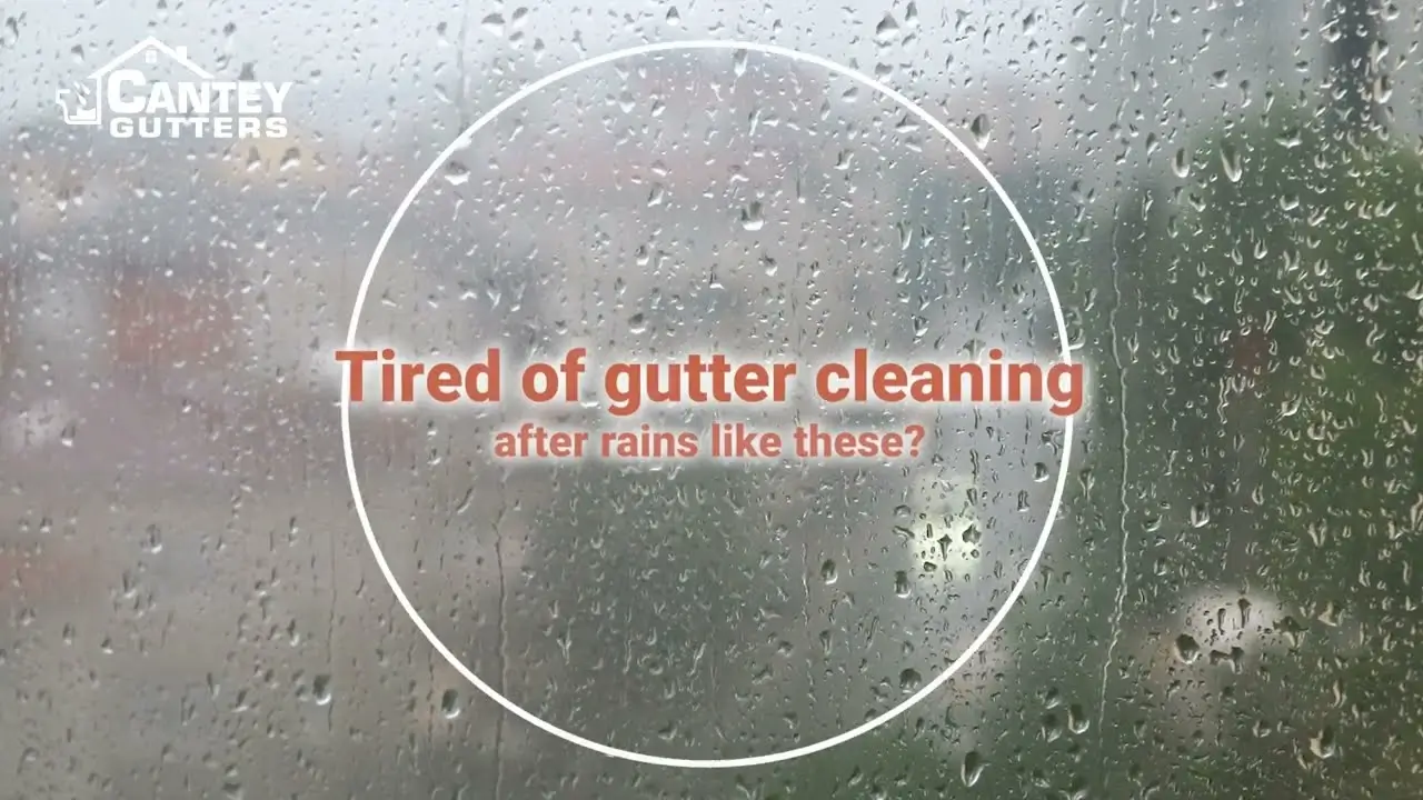 Gutter Cleaning